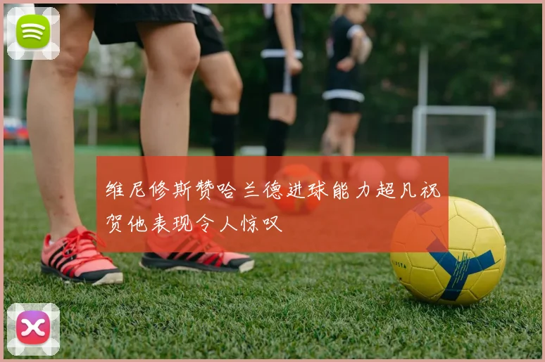 维尼修斯赞哈兰德进球能力超凡祝贺他表现令人惊叹